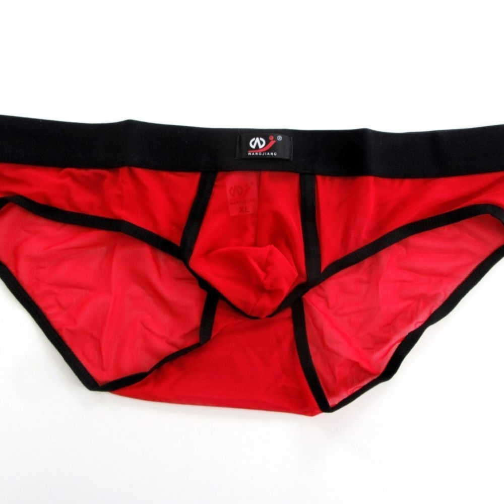 Red Mesh Brief
